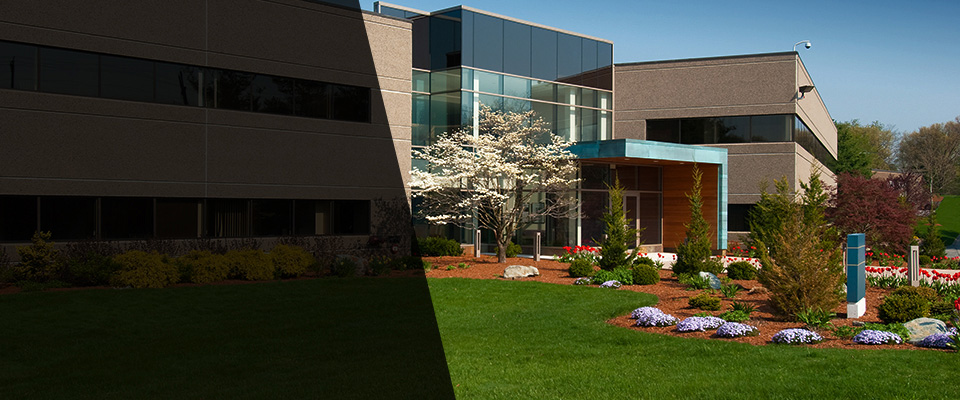 Randolph Landscapers