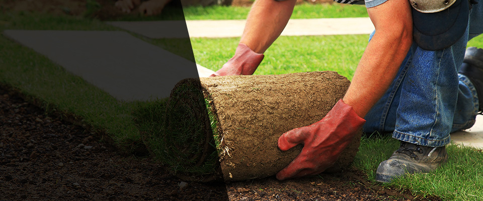 Randolph Landscapers